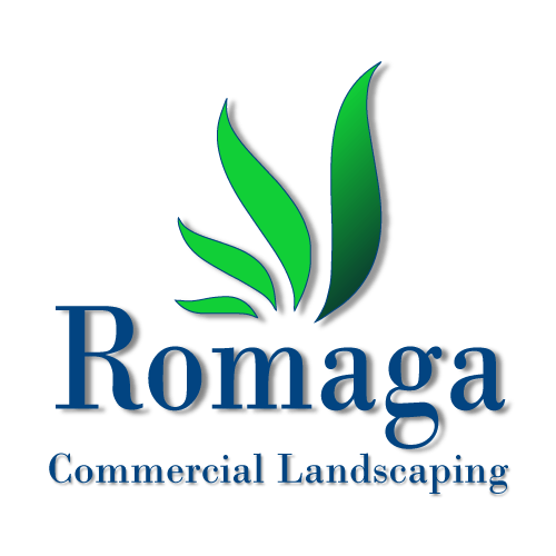 Romaga